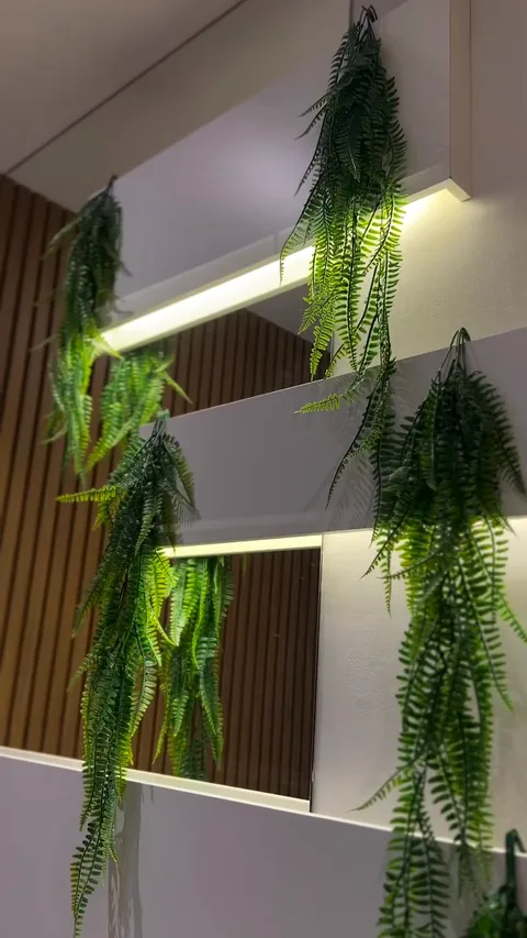 O corredor verde